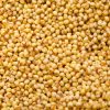 Foxtail Millet - The Millet Bazaar