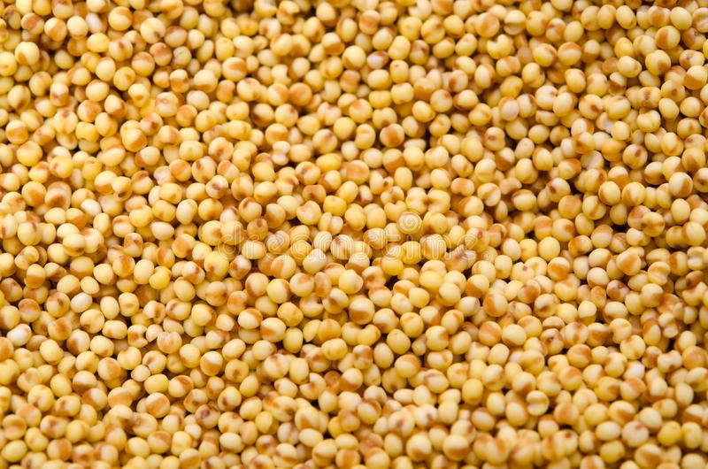 Foxtail Millet - The Millet Bazaar